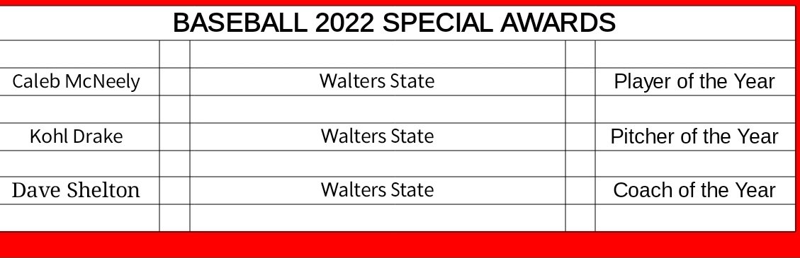 TN Baseball Report tweet media