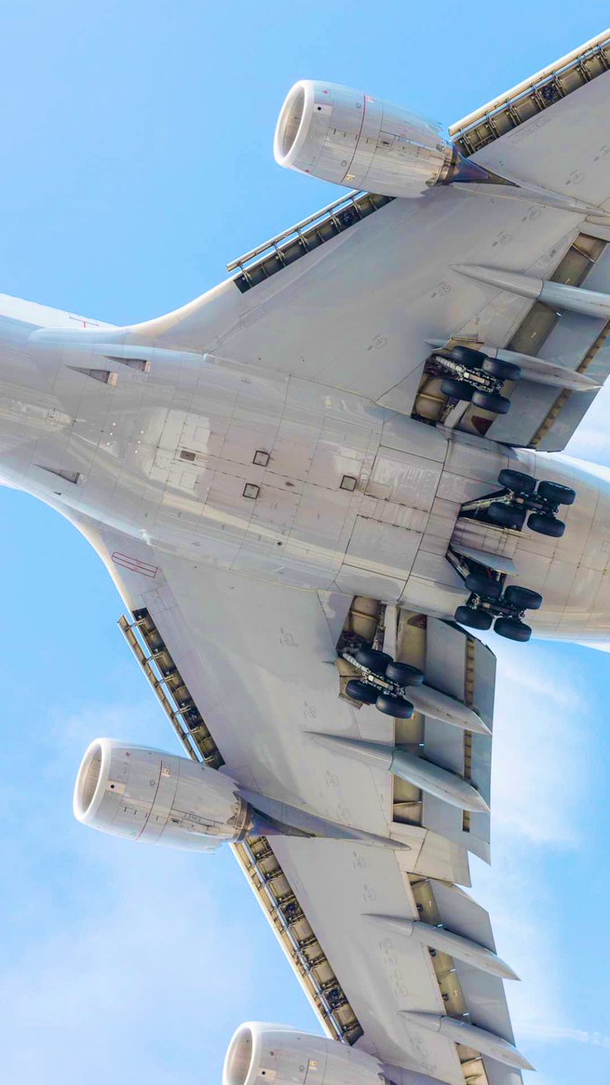 GinieSigonney's tweet photo. Guess the aircraft 💙
.
.
.
#avgeeks #aviation #aviationphotography #aviationdaily #aviationlovers #aviationgeeks #planespotters #planespotting #Pilot #pilotlife https://t.co/wUe7Ti9yO1
