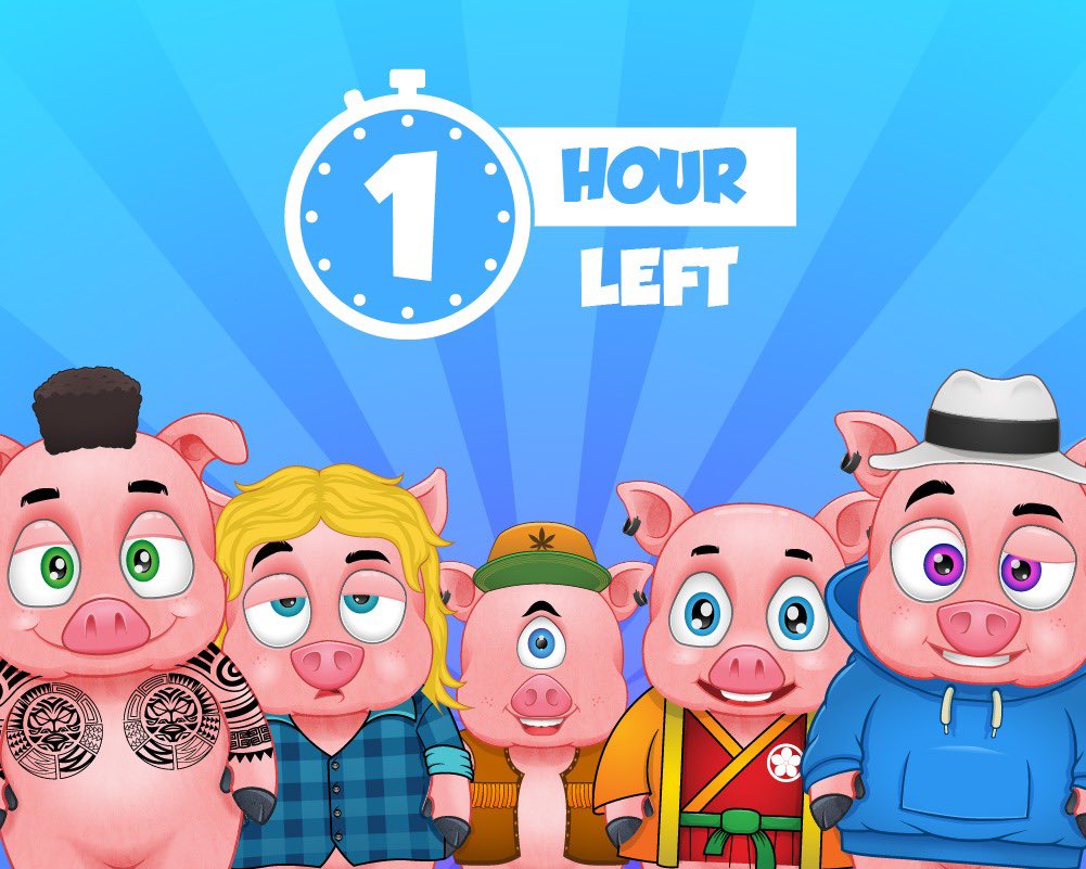 DfinityPigs tweet media