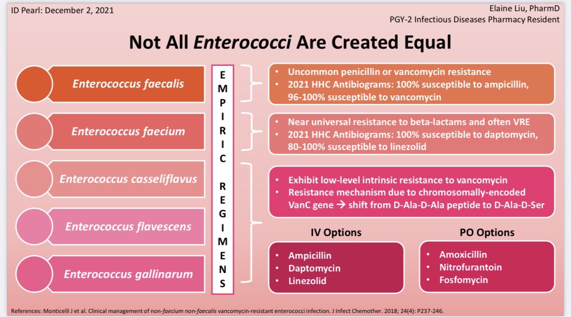 Elaine Liu tweet media
