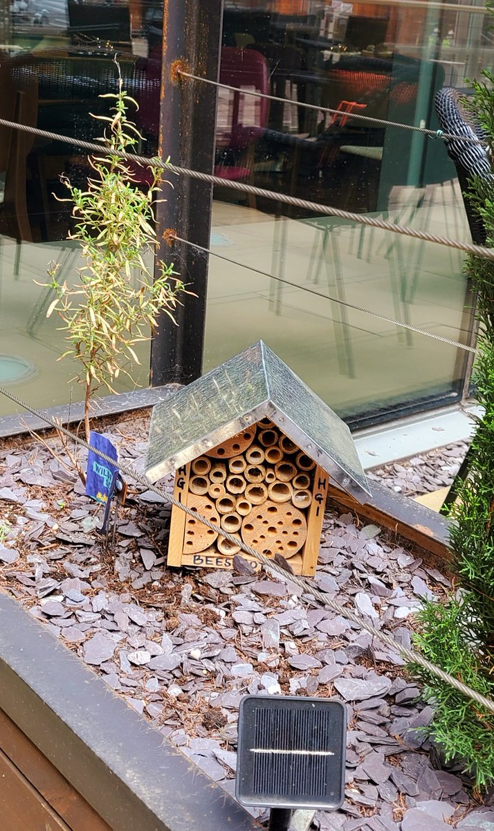 We are committed to making a real difference to our environment. One of the ways our hotel is supporting Birmingham city is by planting wildflowers, and safe nesting for Bees #Beegreen #Greentourism #Birmingham #Wildlife #ecofriendly #sustainability