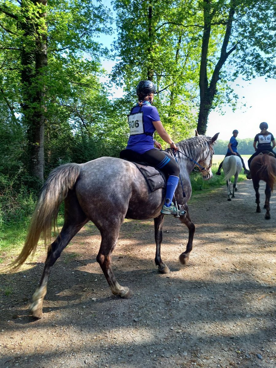 LLequestre's tweet photo. Endurance saumur https://t.co/QSv5RDkMdd