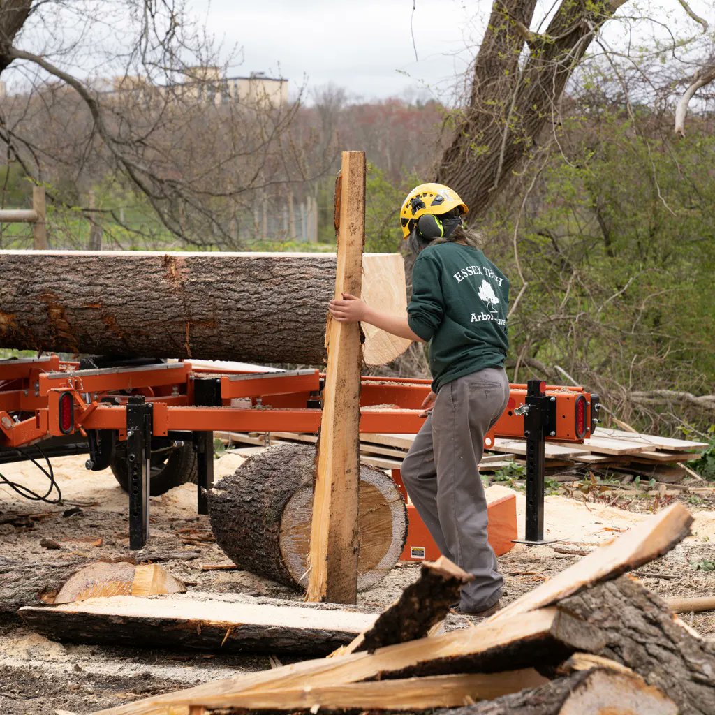 EssexNorthShore's tweet photo. Arboriculture working out on the trail behind the football field using chainsaws and a sawmill to break down trees.
#Abror #Arboriculture #HawkTalk #CreateEncouragePromoteDevelop #ENSATS #TechnicalSchool #TechnicalEducation #CTE #AgEdu https://t.co/v2BMTid9hr