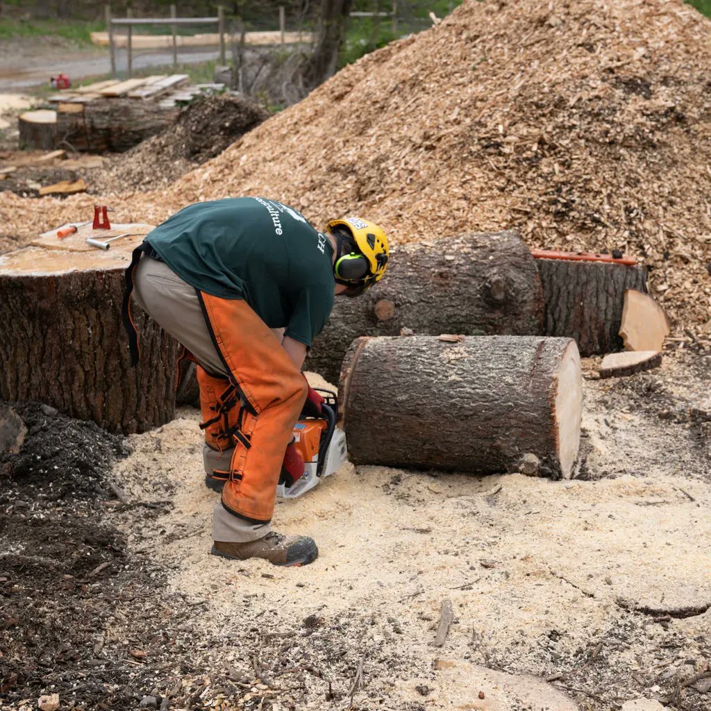 EssexNorthShore's tweet photo. Arboriculture working out on the trail behind the football field using chainsaws and a sawmill to break down trees.
#Abror #Arboriculture #HawkTalk #CreateEncouragePromoteDevelop #ENSATS #TechnicalSchool #TechnicalEducation #CTE #AgEdu https://t.co/v2BMTid9hr