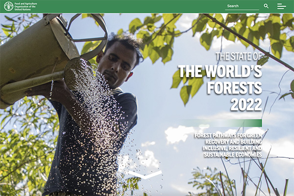Latest issue: The State of the World's Forests #SOFO2022
🌳
Forest pathways for green recovery and building inclusive, resilient and sustainable economies 

Download it here 🔃
ow.ly/ClH650J3sBW via @FAOKnowledge #faodoc #forestsmatter
@IUCN_forests @cem_forests @IUCN_CEM