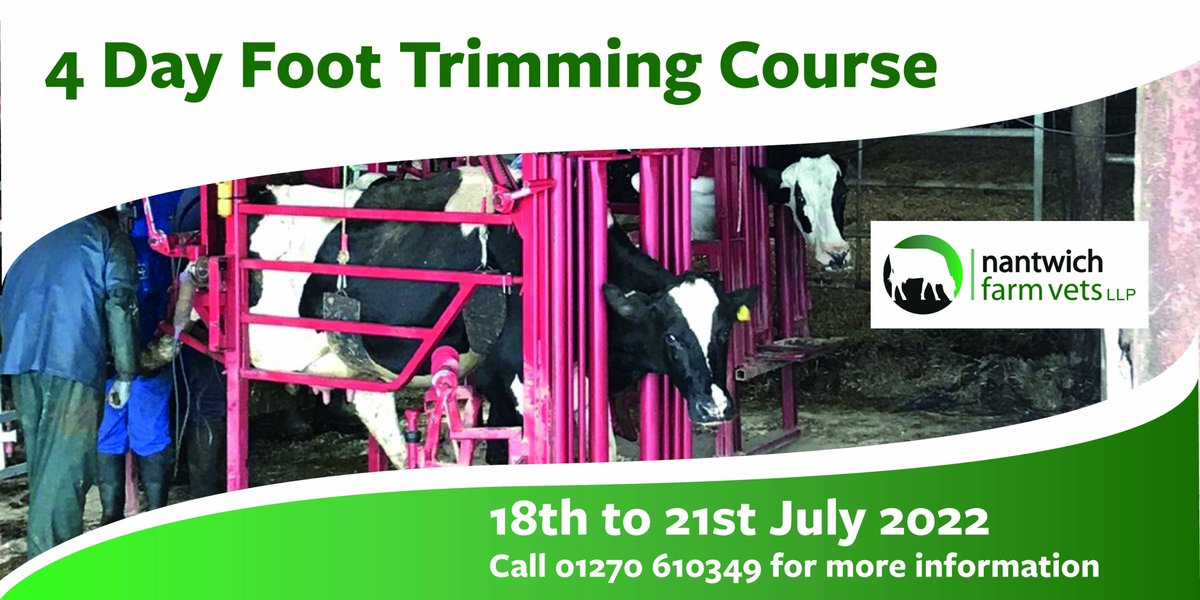 NantwichFarmVet's tweet photo. Our popular four day Foot Trimming course will be running from 18th to 21st July. 

Places are limited, for more information call the office on 01270 610349 or you can book online via our website.

@Davidrowe_1 https://t.co/dSwPq4WPgW