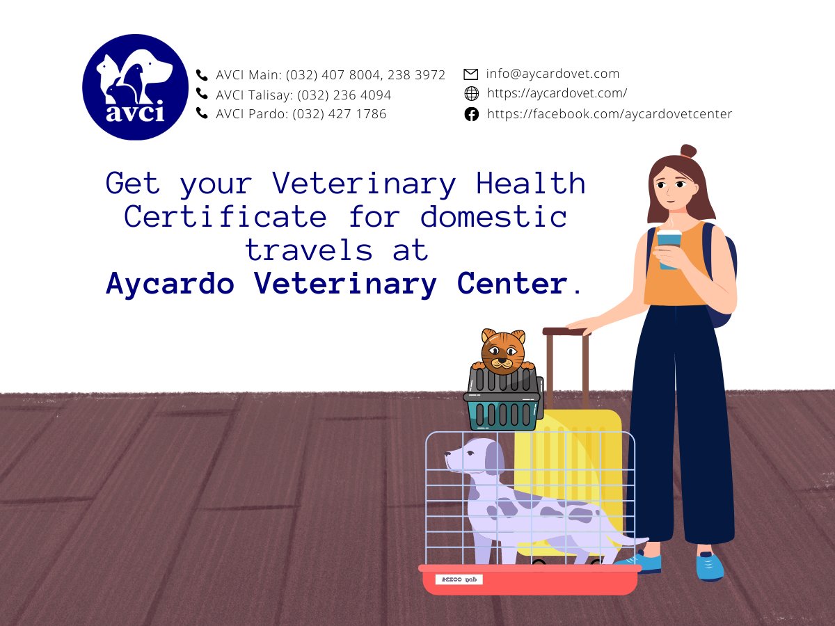 avcivet's tweet photo. Get your travel certificates for only P300. How? Click here: https://t.co/HQlvx2w5Mn https://t.co/2IXN9Q2NYs