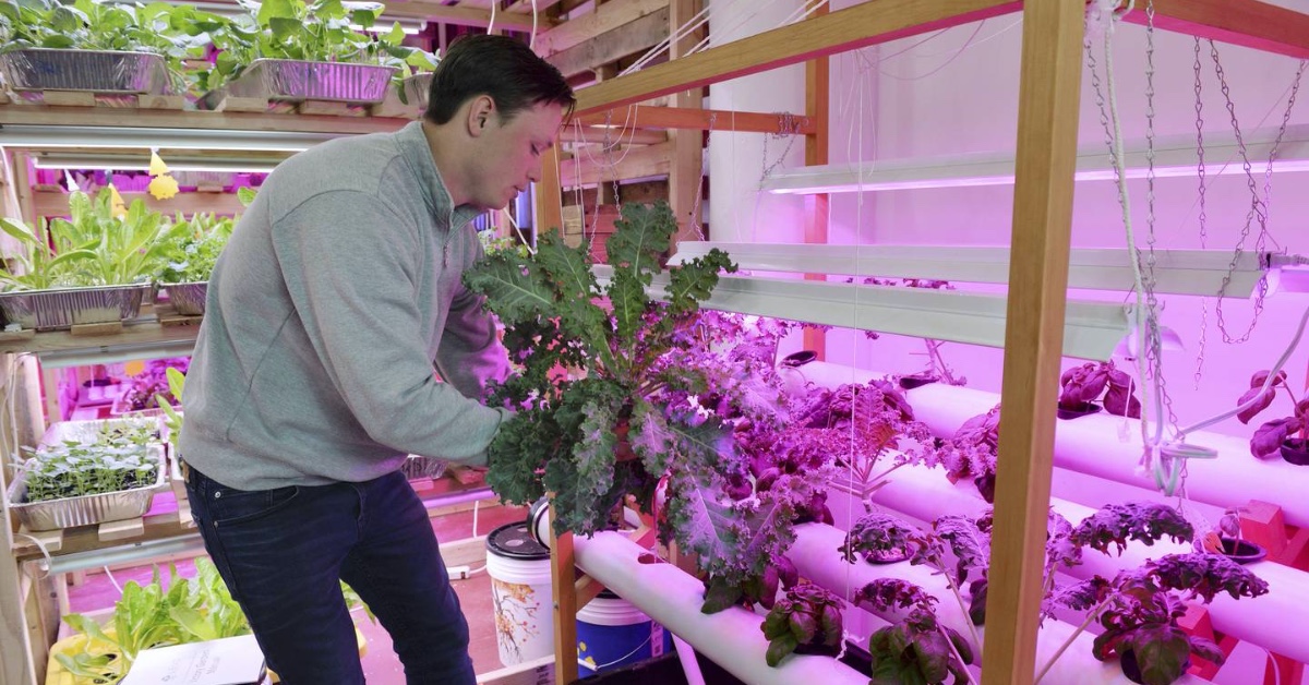 <a href="/UConn/">UConn</a> CAHNR alum Christian Heiden (@cwheiden) and his startup <a href="/LEVOint/">Levo International</a> are turning Hartford residents into micro-farmers through the use of vertical farming equipment, which requires a fraction of the space typically needed for a full-scale garden. 

fal.cn/3otNX