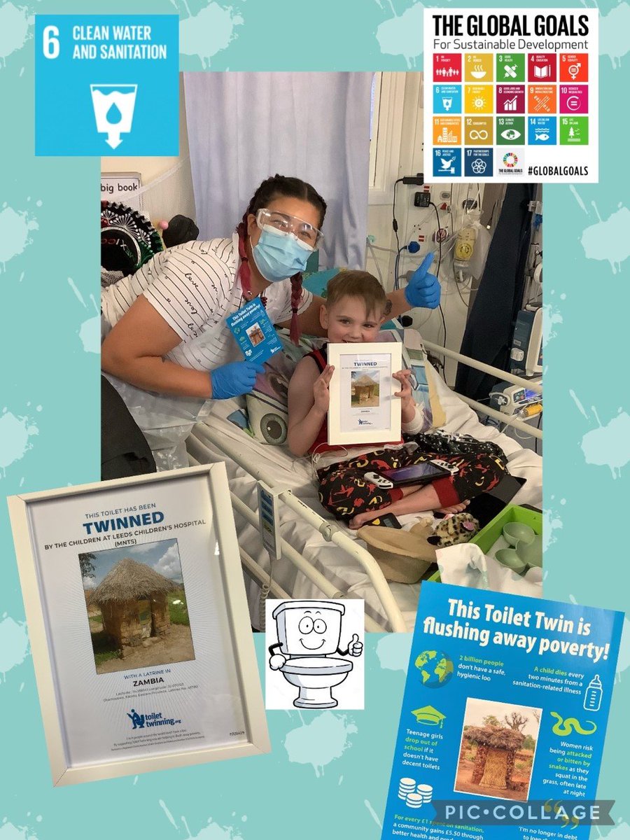 MNTS_Leeds's tweet photo. We have twinned a toilet @leeds_childrens with a latrine in Zambia. Well done to all the children who took part to raise awareness of the importance of clean water and sanitation 💦🚽🧻💩 #sdgs #globalgoalsproject #hospitalschool https://t.co/LdbMOL7yBR