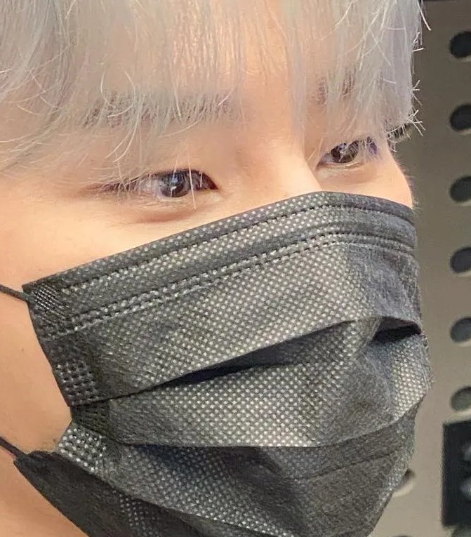 실바니안 유령 고양이 。 。 。🤍