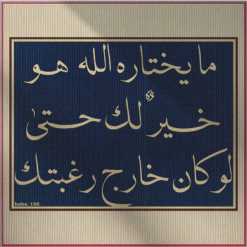 jejeeahmedd's tweet photo. https://t.co/Iwl8W7B8ZN