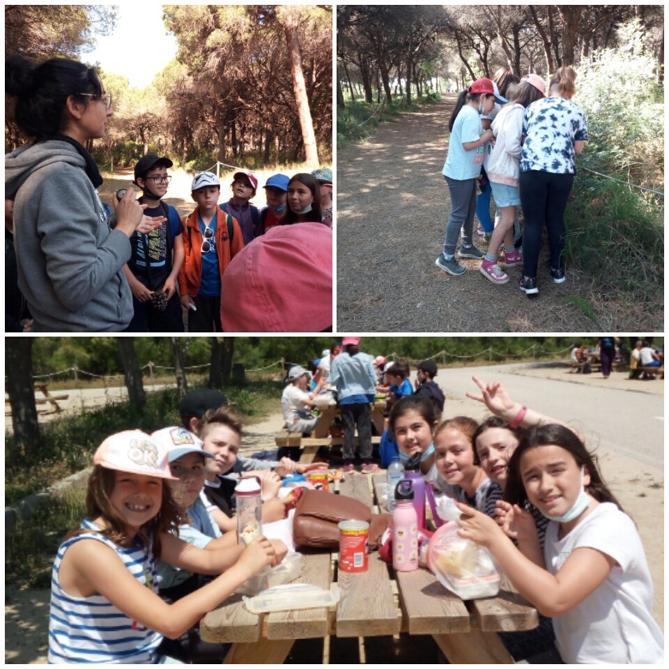 esperancamdc's tweet photo. @escolamdcprat @esperancamdc Coneixem la pineda de Can Camins I gaudim de la natura! https://t.co/sOE2gw5r6R