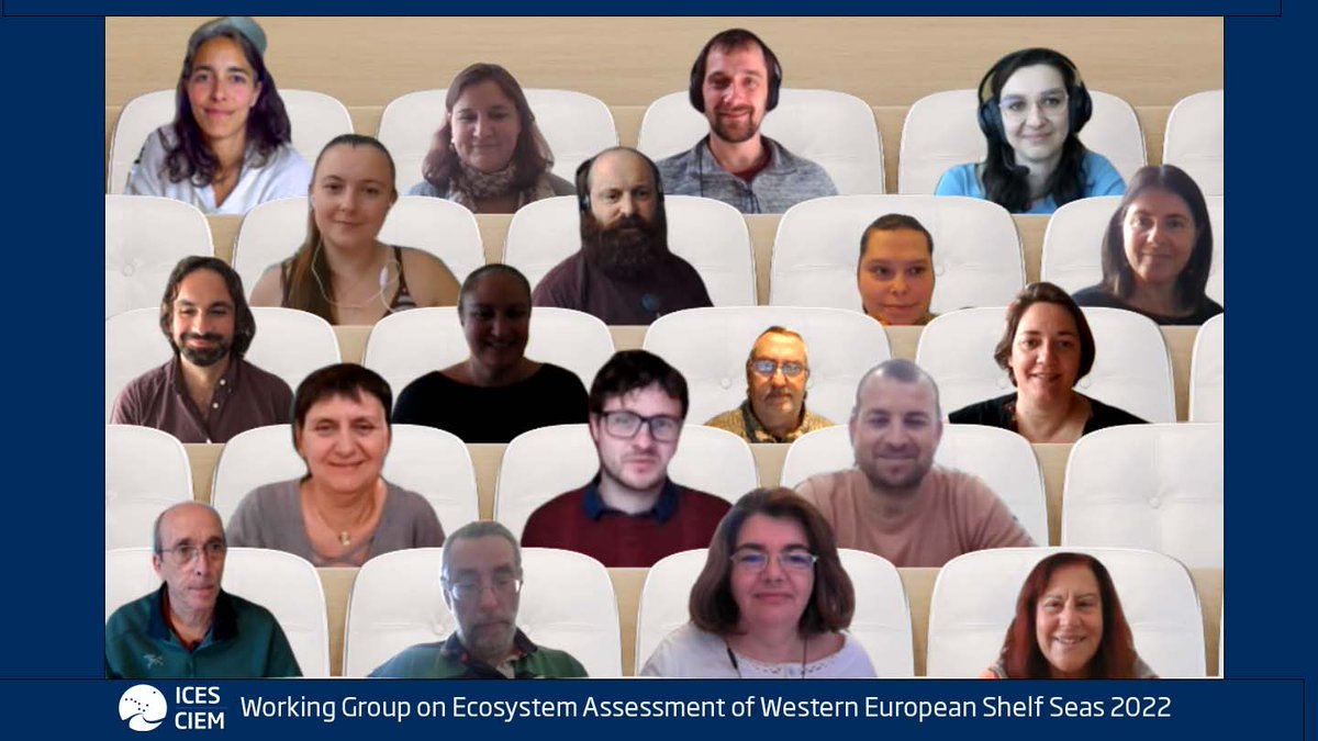 ICESmarine's tweet photo. Presenting ongoing IEA research projects, a day dedicated to advances in Ecospace models to inform EBM & developing a roadmap for the next 3 years!
It was a busy week for our Working Group on Ecosystem Assessment of Western European Shelf Seas #WGEAWESS
https://t.co/mBr8J5KJsf https://t.co/DNxdfkmnbW
