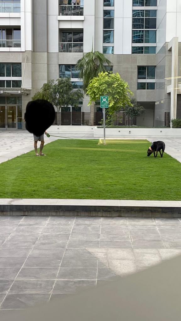 thefitblogger_'s tweet photo. The sad state of affairs at Executive Towers Community podium at Business Bay by DP. No action taken even after numerous emails and requests to them. #unhygienic #unhealthy #dubaiproperties #executivetowers @DMunicipality @DubaiProperties @dubaiholding @mohapuae https://t.co/WN1PUT7FiQ
