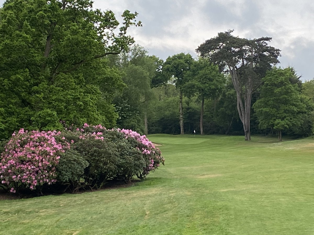 SkyCaddieSteve's tweet photo. Todays early am visit to @puttenhamgolfcl checking gps details &amp; updating latest changes , another great Surrey golf course &amp; one you’ll not “blast”you’re way around , some nice tight tree lined &amp; undulating  fairways ,tricky greens &amp; some “blind” shots #coursemanagement #SX550 https://t.co/oqAXvxYhfa