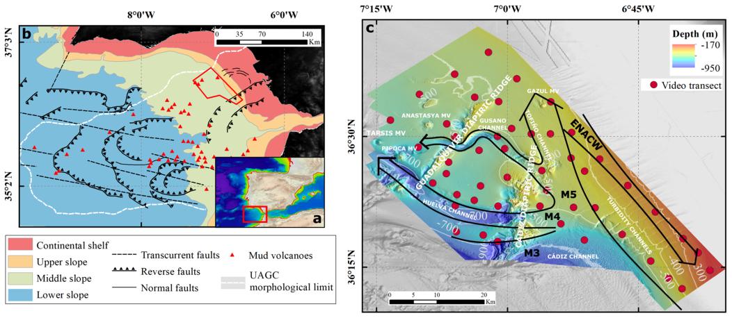 IEO_Cadiz's tweet photo. 📣 Nueva publicación:
"Discovering the fine-scale #morphology of the #GulfofCadiz: An  Underwater #ImagingAnalysis " liderada por nuestro compañero @rauljimerom junto a @FdezSalasLM @Desi_Palomino @ricardofsleal y #YolandaVila
@IEO_Cadiz @IEO_Malaga 

https://t.co/iQnar3NvjC https://t.co/6Xmv8p389r