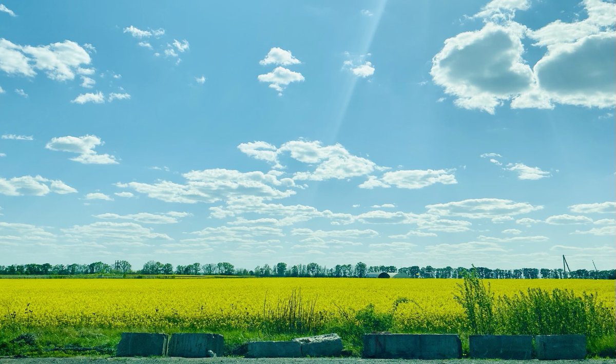 Lindsey Hilsum tweet media