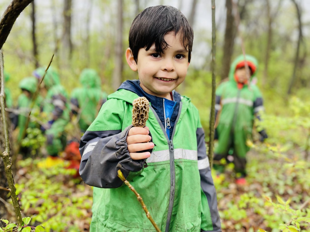 MaumeeValley's tweet photo. Some of our littlest learners were able to forage for morel mushrooms recently on campus. This IS Maumee Valley — endless hands-on learning opportunities in our forest school & across our 75-acre campus.
...
#MaumeeValleyCountryDaySchool #MVCDS #ThisISMaumeeValley #forestschool https://t.co/A7EkRHA0Fj
