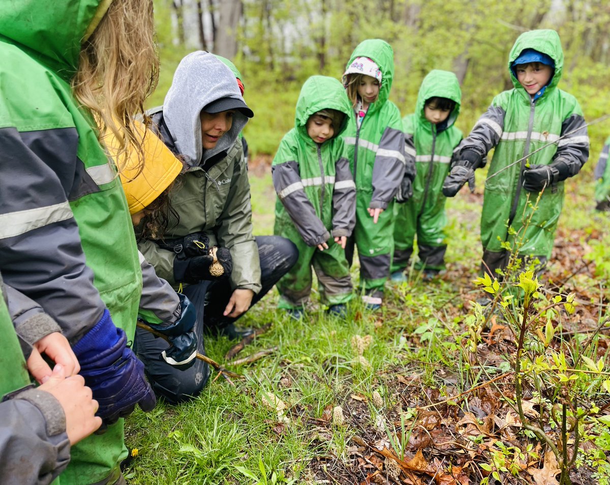MaumeeValley's tweet photo. Some of our littlest learners were able to forage for morel mushrooms recently on campus. This IS Maumee Valley — endless hands-on learning opportunities in our forest school & across our 75-acre campus.
...
#MaumeeValleyCountryDaySchool #MVCDS #ThisISMaumeeValley #forestschool https://t.co/A7EkRHA0Fj
