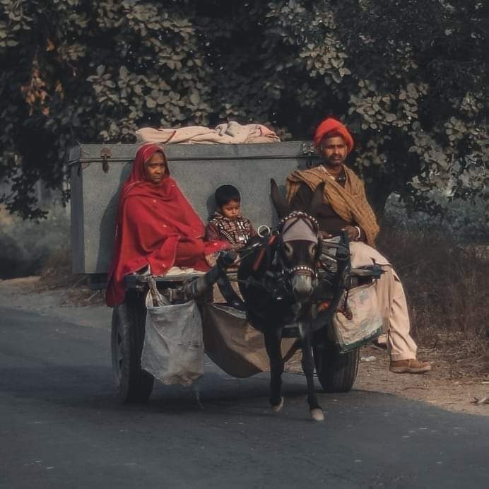تُم  کو  رقبے  ملے  ہیں  ورثے  میں 
تُم نہ سمجھو گے بے گھروں کا دُکھ🍂