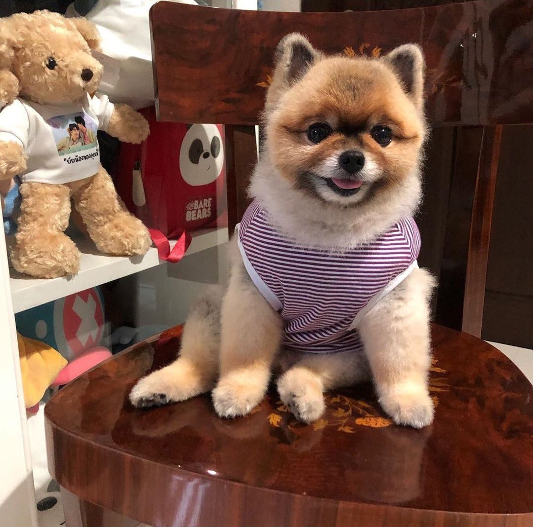 marchmpp's tweet photo. อุต๊ะ เธอเห็นอะไรมั้ย เก็บทุกอย่างเลยนะ ทั้งคู่เลย 🥺🥺 https://t.co/UZ4Jloacmb