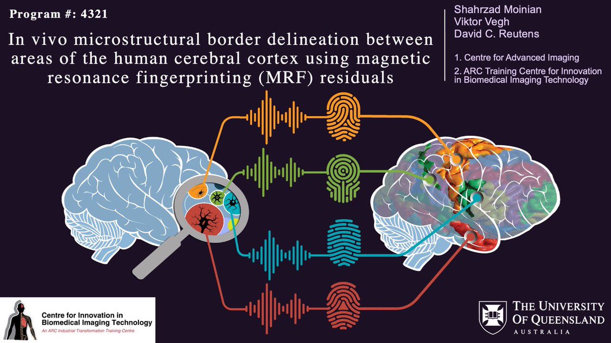 Dreams do come true if we keep chasing them! Please join my <a href="/ISMRM/">ISMRM</a> GatherTown power pitch (#4321) tomorrow 11 May at 9:15-11:15am 🇬🇧time (6:15-8:15pm 🇦🇺) to find out how we’re chasing the dream of microstructural border delineation in the living human cerebral cortex <a href="/CibitIttc/">CIBIT-ITTC</a>