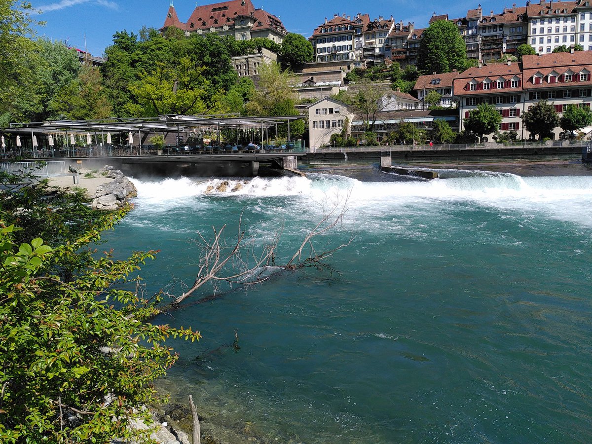 fischwanderung's tweet photo. @EawagResearch-PEAK Kurs "#Wirkungskontrolle von #Revitalisierungen" findet gerade am Berner Schwellenmätteli statt. #NiceLocation https://t.co/UOHcAqoFCr
