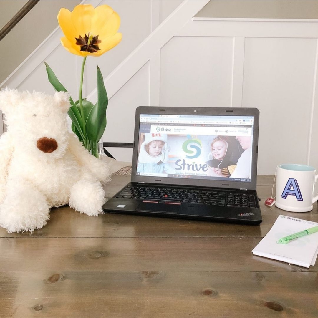 striveswo's tweet photo. Today is #BearWitnessDay we invite you to stand in solidarity with #JordansPrinciple by posting an image of a teddy bear at your workstation. Use hashtags 
#BearWitnessDay #JordansPrinciple 
Learn more &amp; participate in reconciliACTION from @CaringSociety and Dr. @cblackst . https://t.co/seqIiXD9Nw