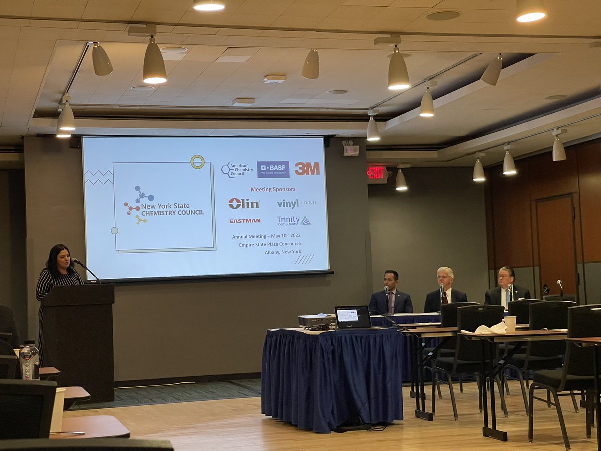 NY_ChemCouncil's tweet photo. Margaret Gorman leading our NYS Assembly and Senate Environmental Panel

Thank you to @SenatorHarckham, Asm @FredThiele1 and Assemblyman Durso! 

#NYSCC #Albany https://t.co/mncvk2qDPh