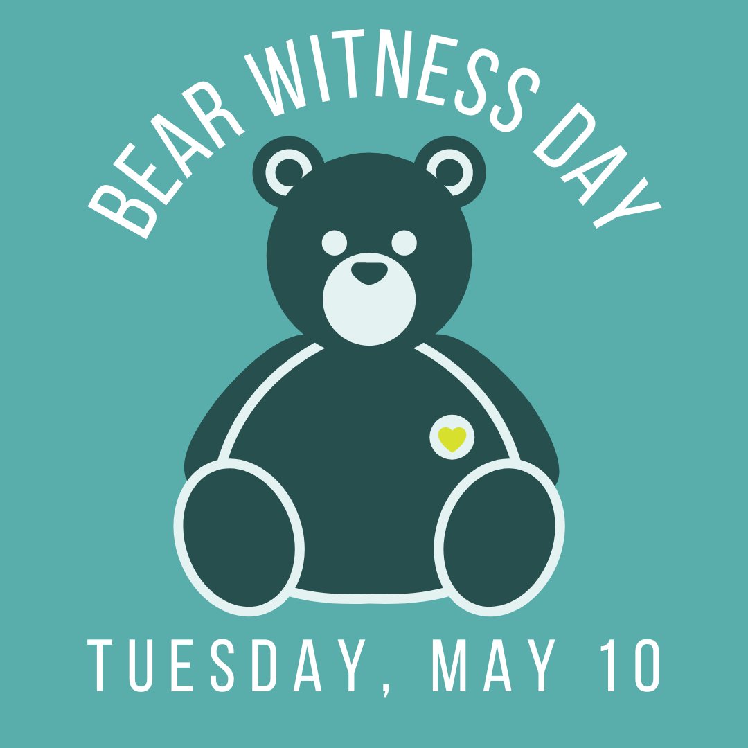 striveswo's tweet photo. Today is #BearWitnessDay we invite you to stand in solidarity with #JordansPrinciple by posting an image of a teddy bear at your workstation. Use hashtags 
#BearWitnessDay #JordansPrinciple 
Learn more &amp; participate in reconciliACTION from @CaringSociety and Dr. @cblackst . https://t.co/seqIiXD9Nw