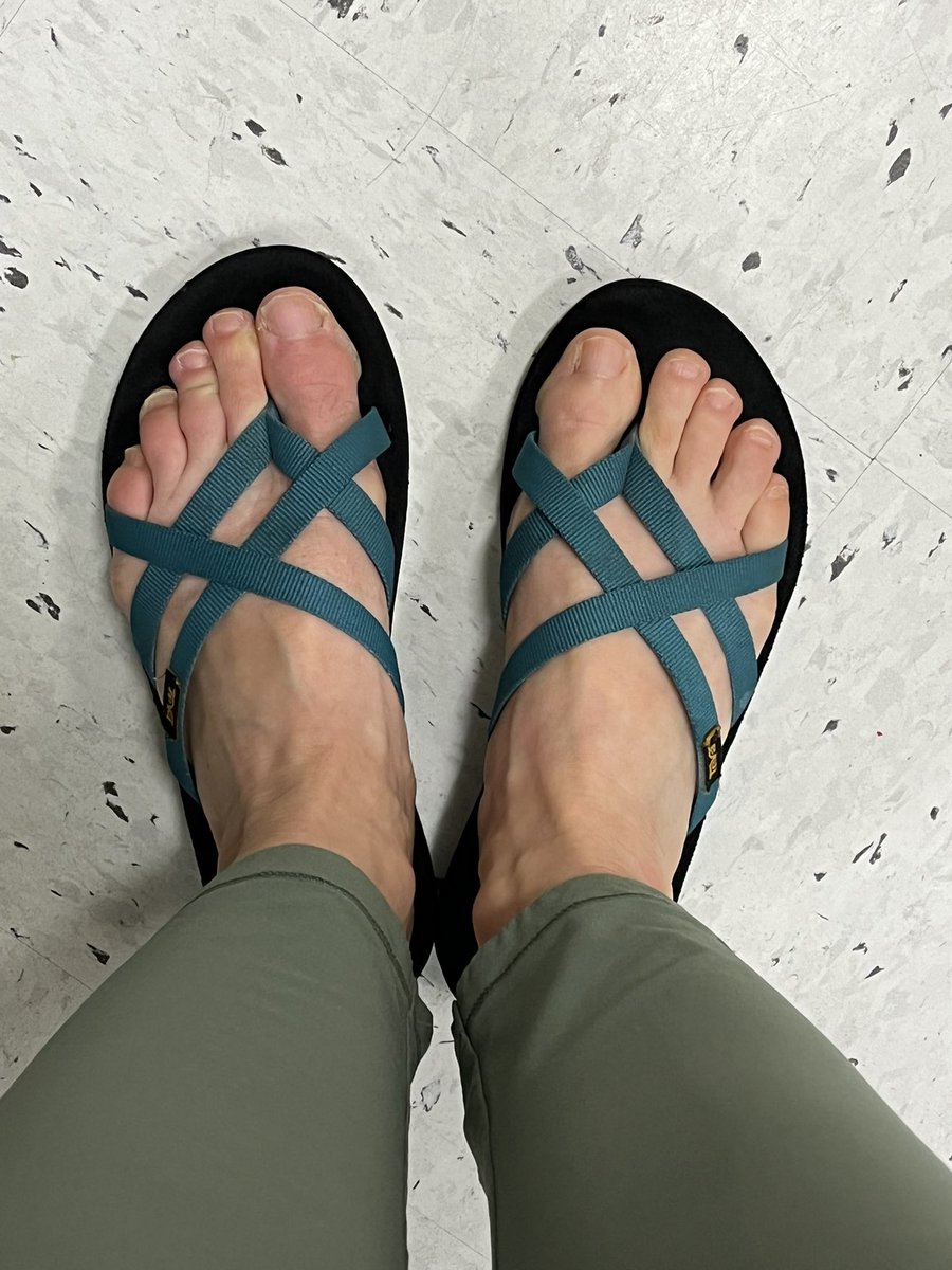 SusanSey's tweet photo. Once or twice a year I accidentally show up for work in my dog walking shoes. 

Today is that day.

#winterpiggies
#WhoLetTheDogsOut https://t.co/ncsh8a1B7D