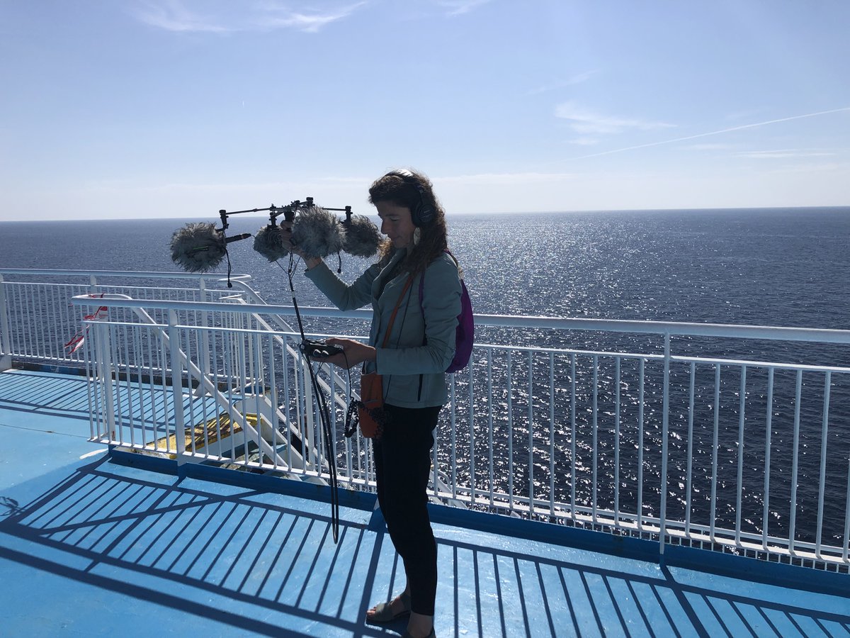 Dark Euphoria tweet media