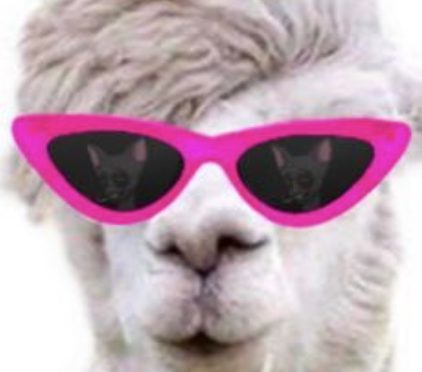 kaansolana's tweet photo. MAY 10TH CETS.

@PabloRochat just changed his Twitter profile picture to this. PEBLO in his shades. But that is not all...👇🧵 https://t.co/Hj35wCPxc0