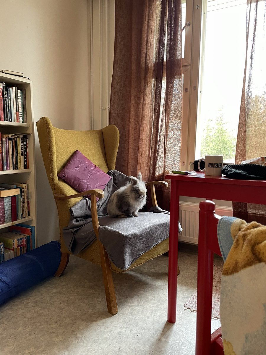 kaletherabbit's tweet photo. Wat am i doing with my Life https://t.co/2YKHOuyozf