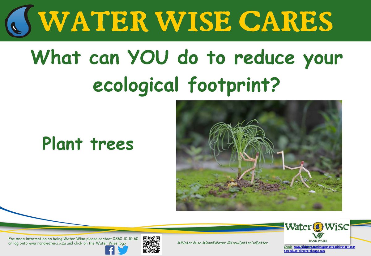 Water Wise tweet media
