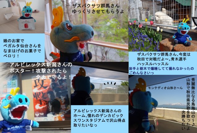 akitanoiitoko's tweet photo. 皆様沢山の温かなお気持ちありがとうございます😆皆様の応援のおかげで、最高のご祝儀を頂きました

長野での挙式で知らぬ間にアウェー６県+２県を巡っていました

アウェー、と言うだけでわくわくしてしまうのは、私もサポさんの仲間入りをしているんだな、と感じました。オバチャマもとうとう…🌠 https://t.co/Ov5PWvCjyq
