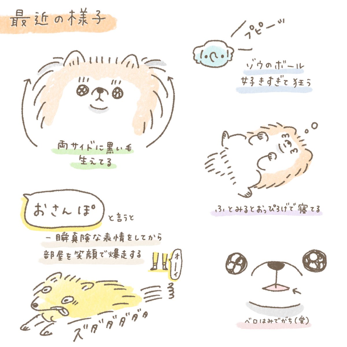 【今日はむっくのお迎え記念日】
最近のむっくさんの様子をまとめてみました🗒おっぴろげで寝るのとか、べろ出ちゃってるのとかほーんと𝑙𝑜𝑣𝑒………
#むくふわむっく