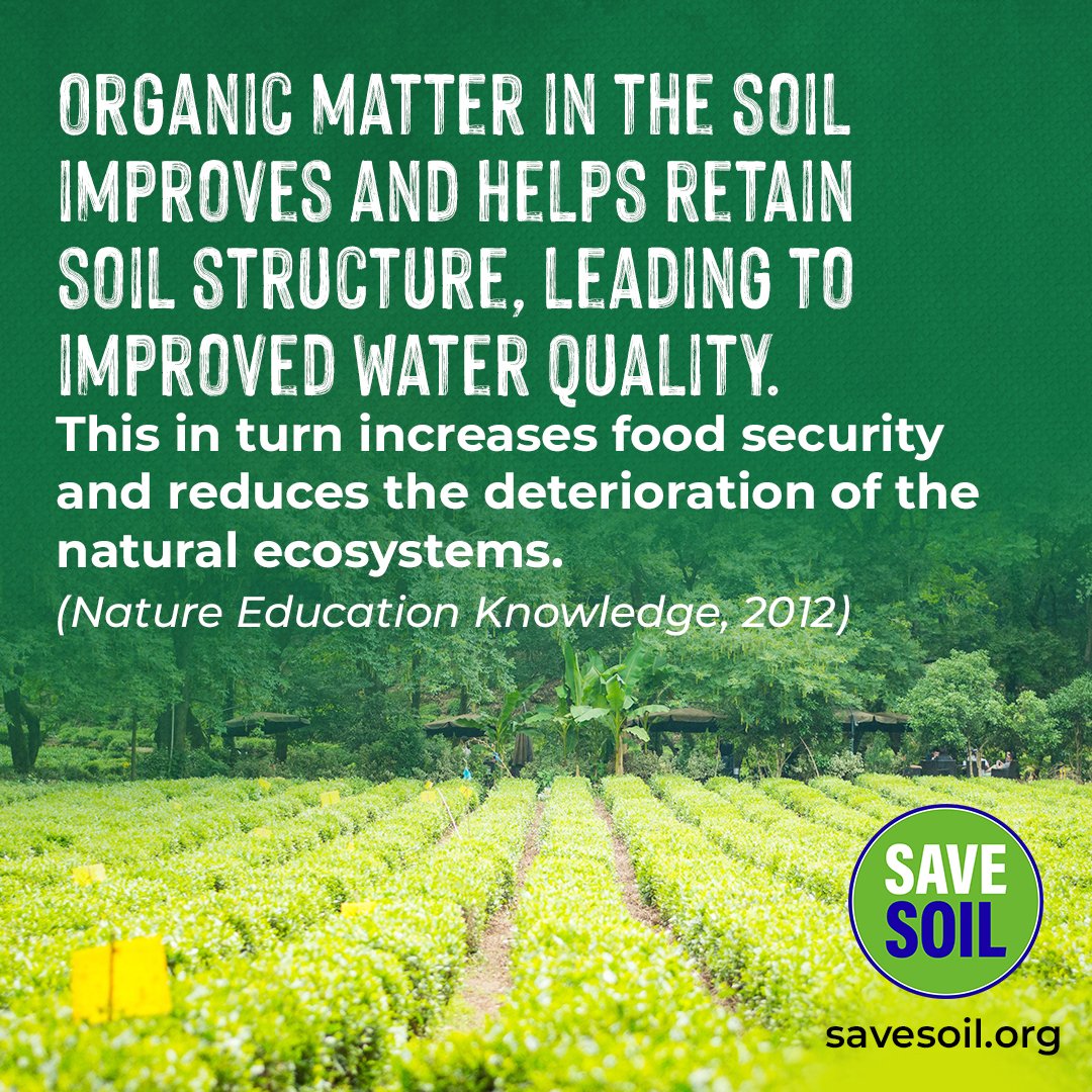 S_Gupta09's tweet photo. Organic content in the soil must increase to more than 3 % so that our food is nutritious. Let us strive for policies to Save our Soil for our own health and Well-Being.
 #SaveSoilAtCOP15 https://t.co/Vv8PZma0k3