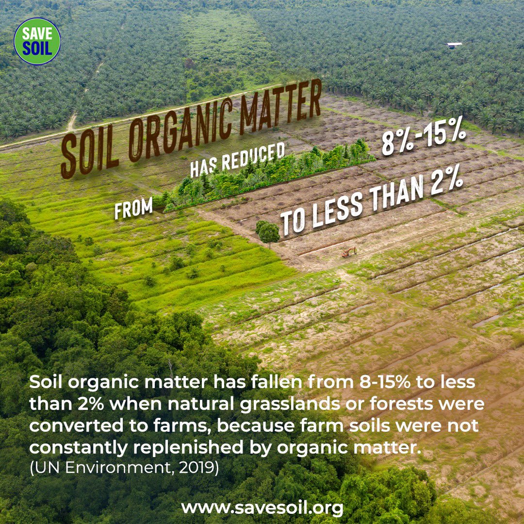 SoumyaMessages's tweet photo. Soil🙏🏻 the very basis of our lives, calls for our attention #SaveSoilAtCOP15 https://t.co/zXPMtAOx3p