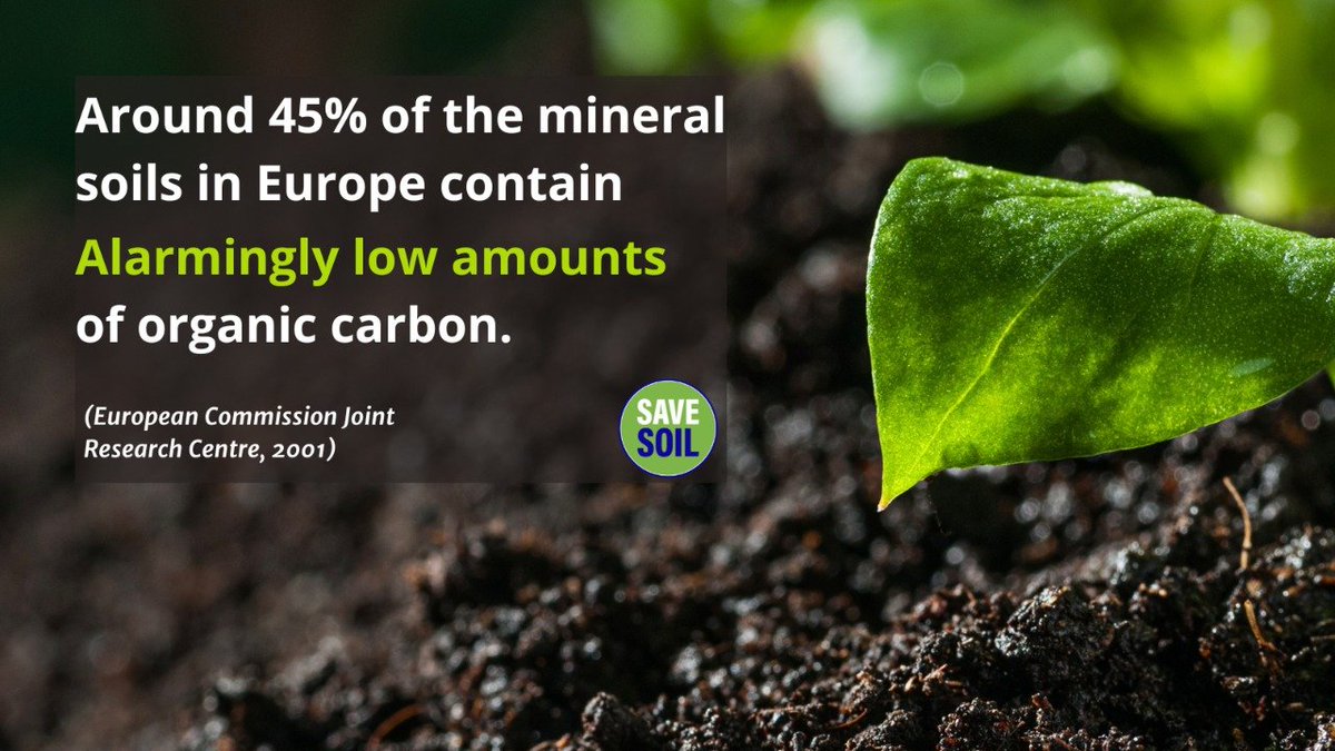Ramesh43520569's tweet photo. The Save Soil movement is a love affair with the land and life around us, not a fight with anyone.
Action Now: https://t.co/DQoVU61eWy
#SaveSoilAtCOP15
@SadhguruJV @UNCCD COP15 https://t.co/HpVghvrlNr