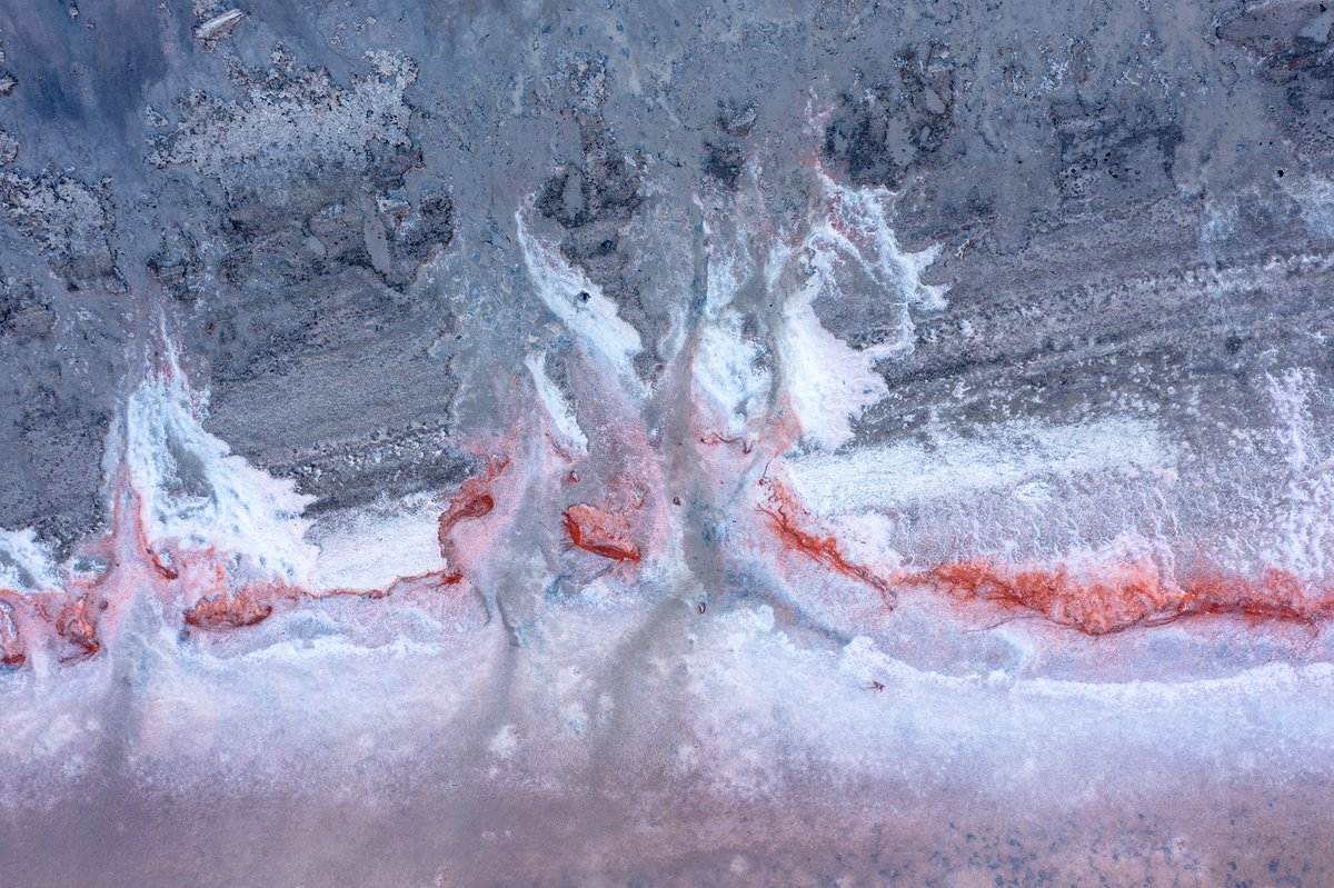 eamonwyss's tweet photo. White salt on the shoreline of this salt lake was extraordinary. A red line of pigmentation left behind from the receding waterline as it dries up. Zoom in 2C leaves &amp; sticks in the mud. Like a perilous moment at sea - pet name 4 it is Moby Dick. What do u see? #abstractdroneart https://t.co/QYoFcuQ1x9
