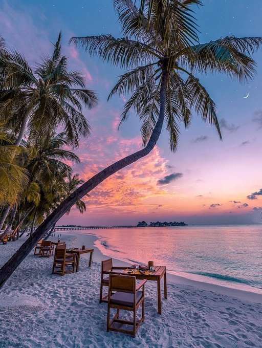 Travitinerary's tweet photo. To escape and sit quietly on the beach🏖️  — that’s my idea of paradise 🌴🌞 -  Emilia Wickstead https://t.co/3THJyaUC0V