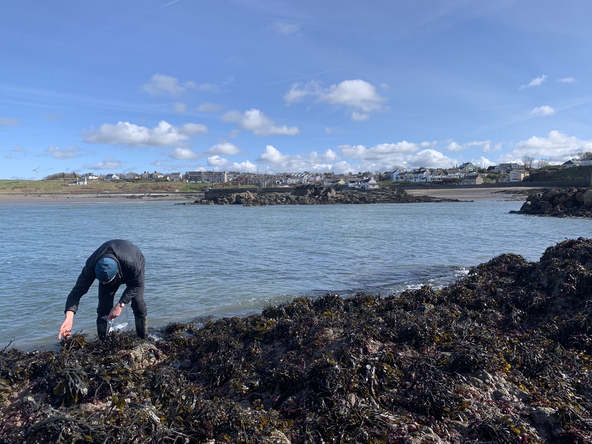 BarlowBio's tweet image. Once snail work has bitten you , you can’t stop ✋