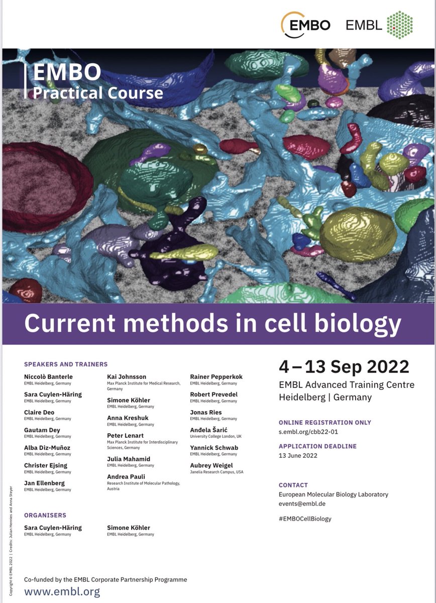 Want to learn about cutting-edge technologies in #cellbiology? Our EMBO Practical Course: Current Methods in Cell Biology in September @EMBL offers a great lineup of practicals and talks. Apply here:
s.embl.org/cbb22-01
#EMBOcellbiology