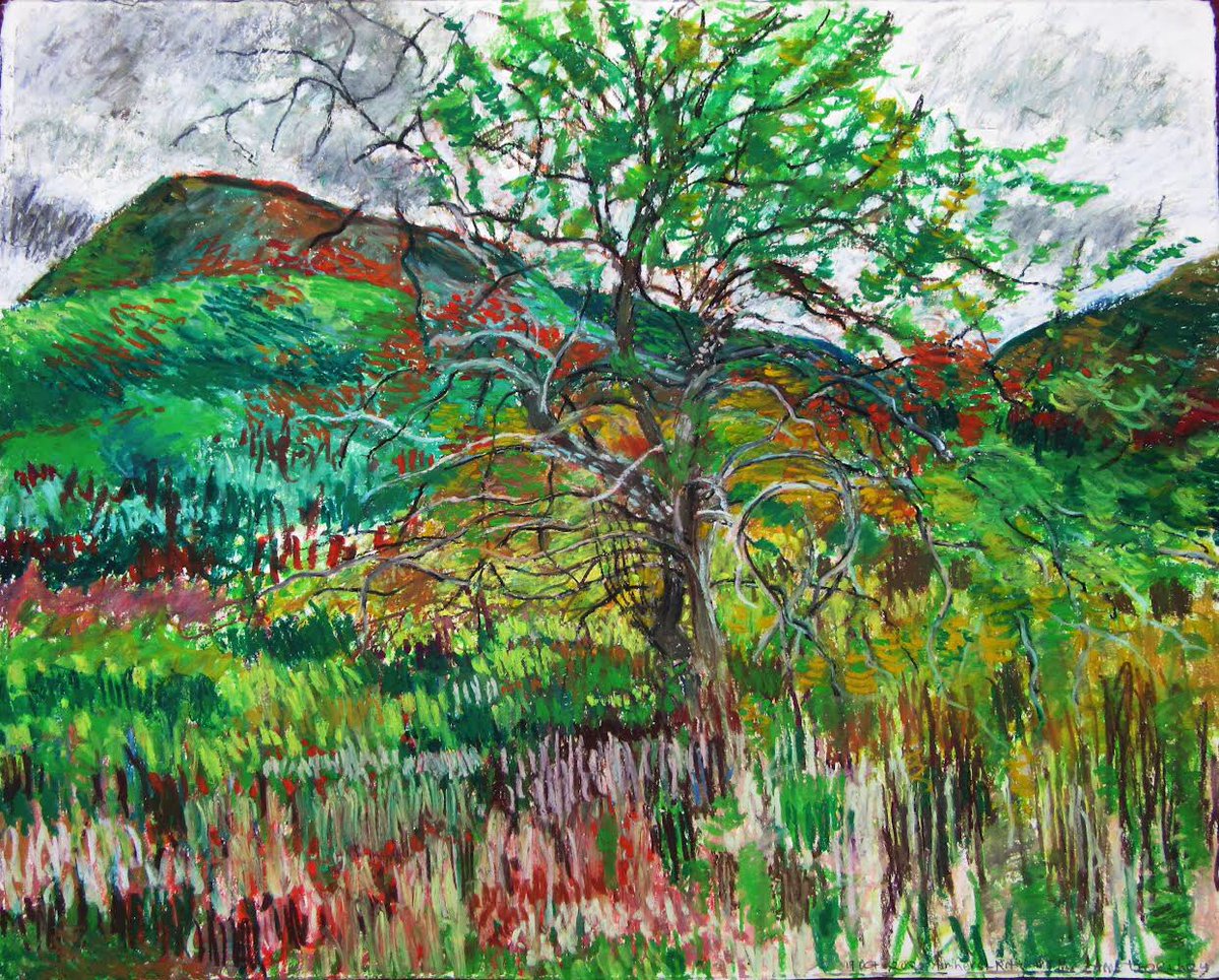 EkdGallery's tweet photo. "The search is what gives the drawing its inner life.”
- Lorna Ritz 

https://t.co/CzUMKoIz4w through June 21. 

Lorna Ritz, “Mt. Norwottuck and Apple Tree, autumn Holyoke Mountain Range, Amherst”
Holbein crayon on 300lb hot press paper, 15 x 22 inches 
2020

#art #drawing #color https://t.co/C1EKNUhIHI
