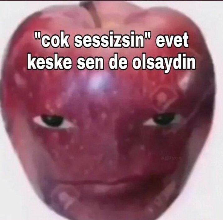 Ender (@ediyojen) on Twitter photo 