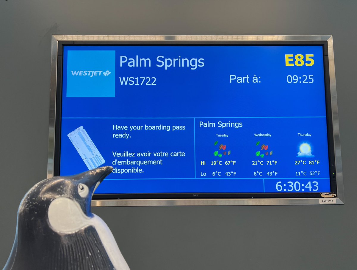 penguinisgo's tweet photo. Next stop … Palm Springs!  Can’t wait to fly again! https://t.co/PLQAIXPlqR