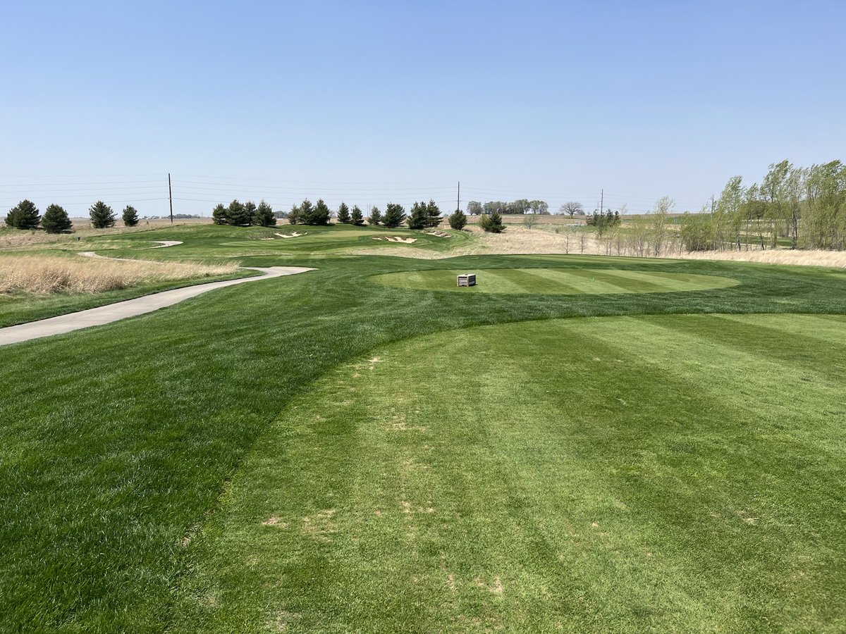 Anne Streich tweet media