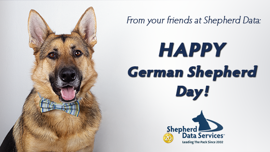 Loyal, intelligent, curious, and confident are just a few German Shepherd traits. Happy German Shepherd Day!
#germanshepherdday