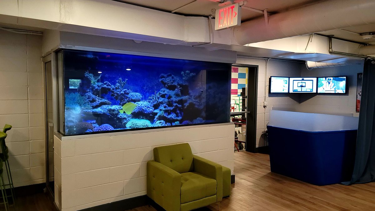 SIScreens's tweet photo. #CommercialAV #SI Dealer @theofficeppl transformed an old theater ticket booth into a "fish tank"! Those aren't actually fish, though! They are a projection onto SI's Black Diamond Film, a #rearprojection screen that you can apply to clear rigid surfaces! https://t.co/0IisvRjQgx https://t.co/whFeihO56O